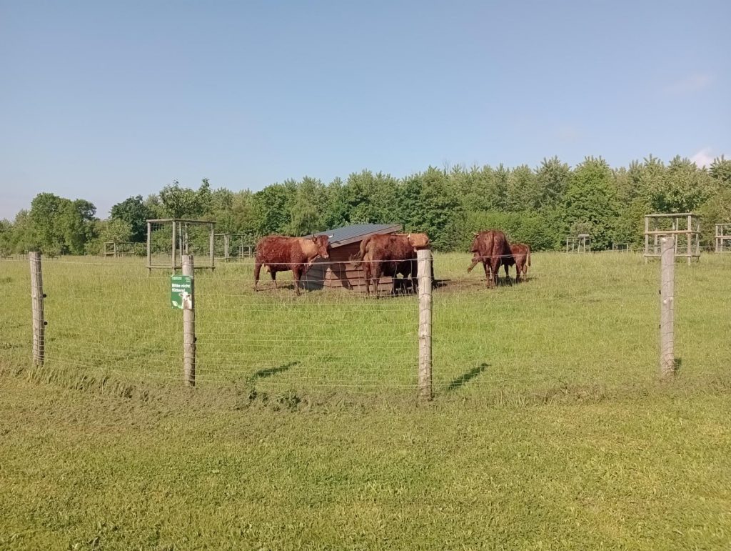 Natur mitten im Ruhrgebiet