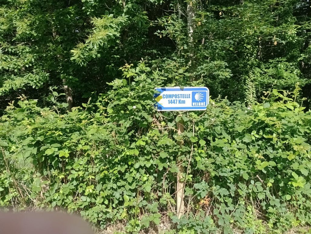Ich fahre viele Kilometer auf dem Jakobsweg